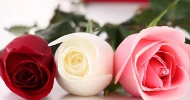 Aký je najlepší darček dať manželke na Valentína?