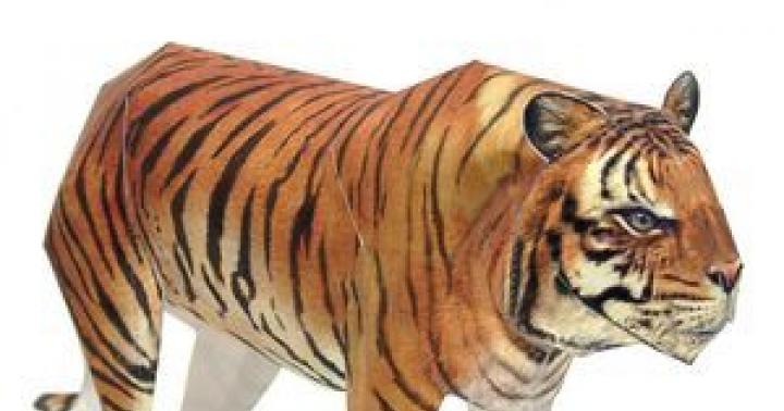 Майстер-клас: орігамі тигра з модулів Морда тигра з паперу
