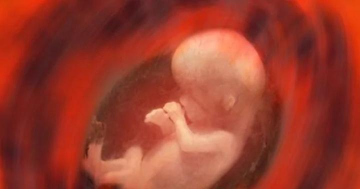 गर्भावस्था के प्रारंभिक चरण में भ्रूण क्यों जम जाता है?