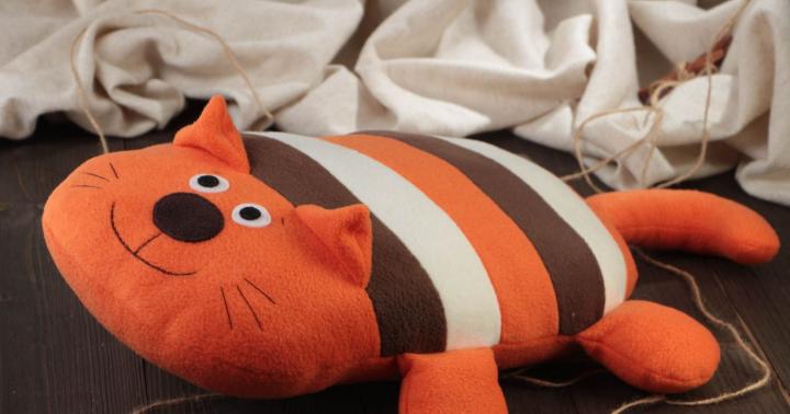 Шиємо прикольні подушки: покрокові майстер-класи Декоративні подушки у вигляді кота